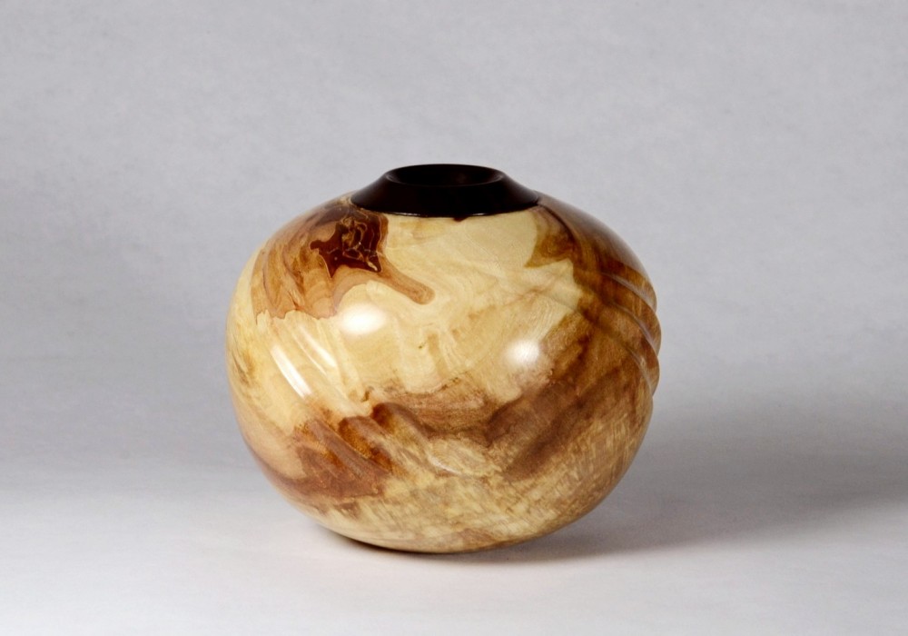 Elm Spiral Form